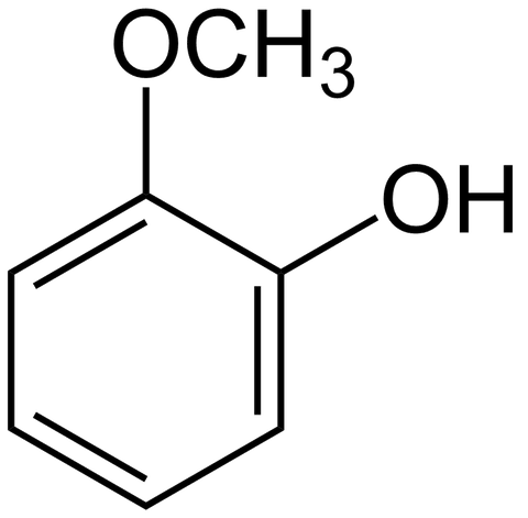 Guaiacol 100ml